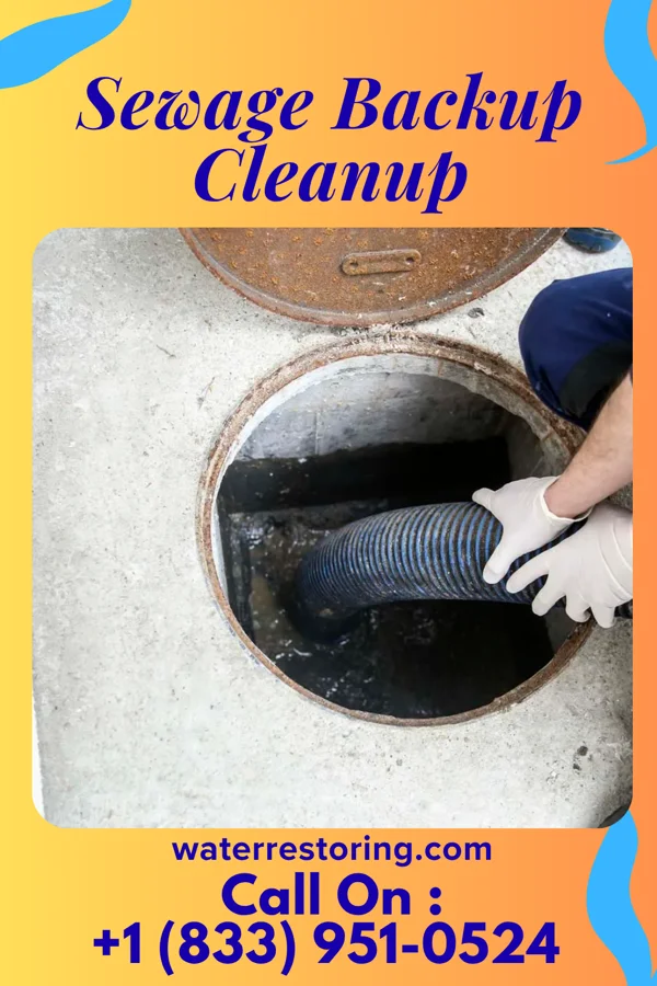Sewage Backup Cleanup in Curlew, IA